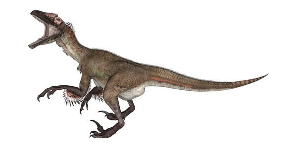 Utahraptor dinozaur — Zdjęcie stockowe