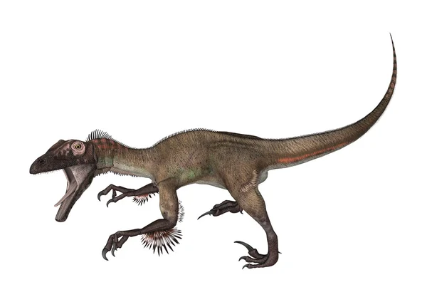 Ютараптор, динозавр — стоковое фото