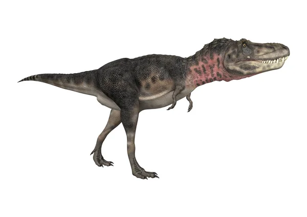 공룡 tarbosaurus — 스톡 사진