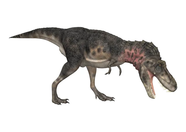 恐龙 tarbosaurus — 图库照片