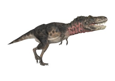 dinozor tarbosaurus