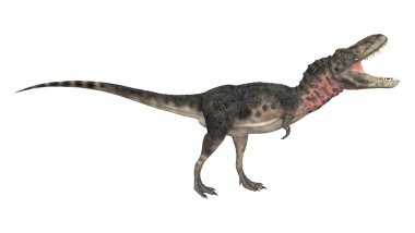 dinozor tarbosaurus