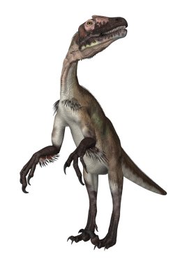 dinozor utahraptor