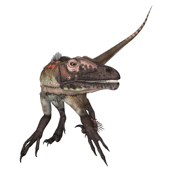 Dinosaurio Utahraptor —  Fotos de Stock