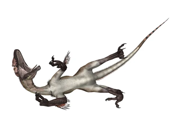 Utahraptor δεινοσαύρων — Φωτογραφία Αρχείου