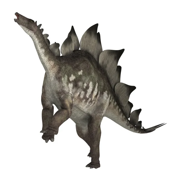 Dinosaurien stegosaurus — Stockfoto