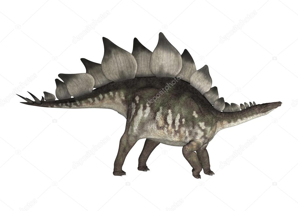 Dinosaur Stegosaurus