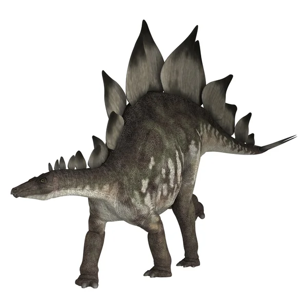 Dinosaurio Stegosaurus — Foto de Stock