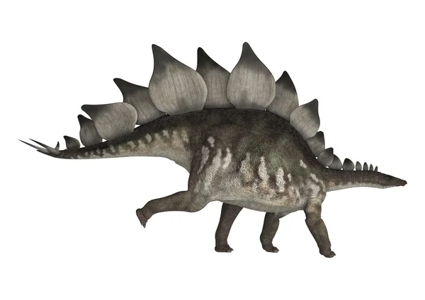 Dinosaurien stegosaurus — Stockfoto