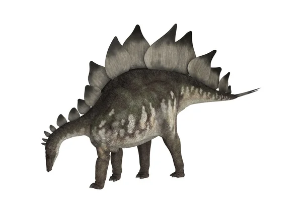 Dinosaur stegosaurus — Stockfoto
