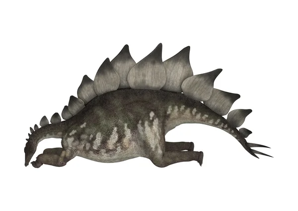 Dinozor stegosaurus — Stok fotoğraf