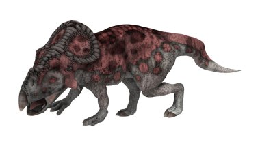 Dinozor Protoceratops