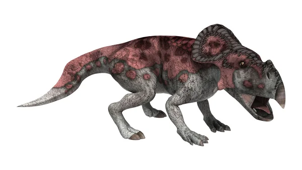 Динозавр Protoceratops — стокове фото