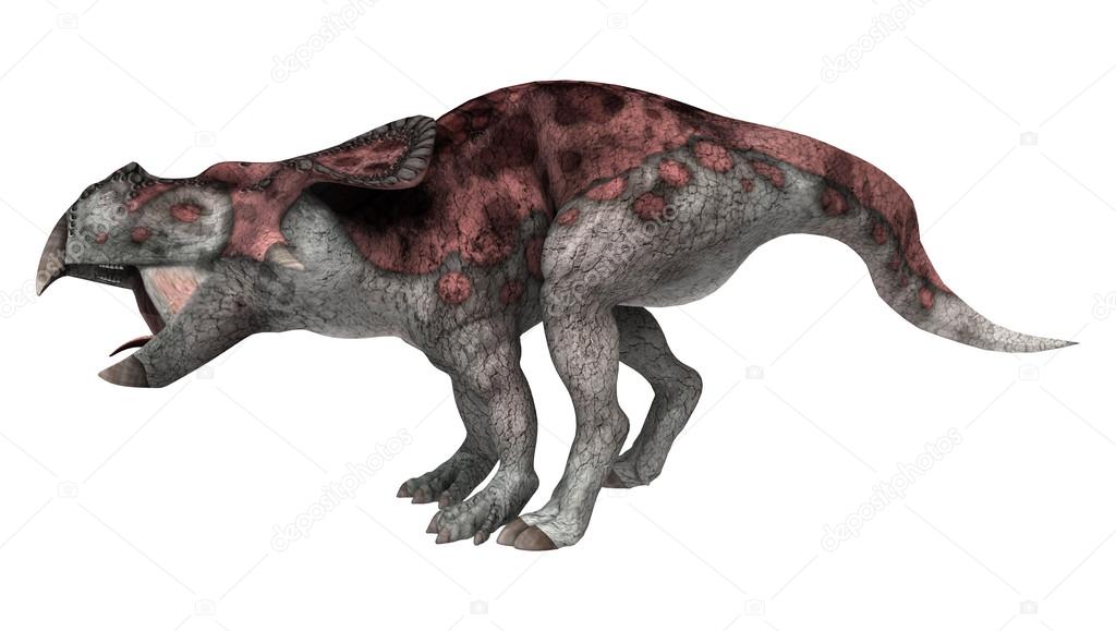 Dinosaur Protoceratops 