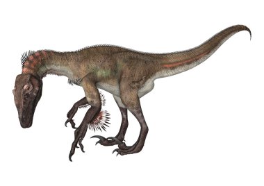 dinozor utahraptor