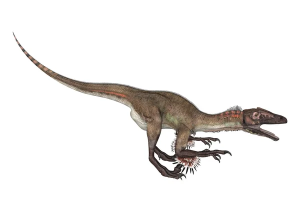 Dinosaurierutahraptor — Stockfoto