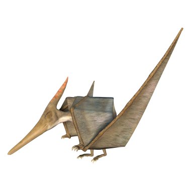 Pteranodon