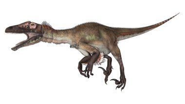 dinozor utahraptor