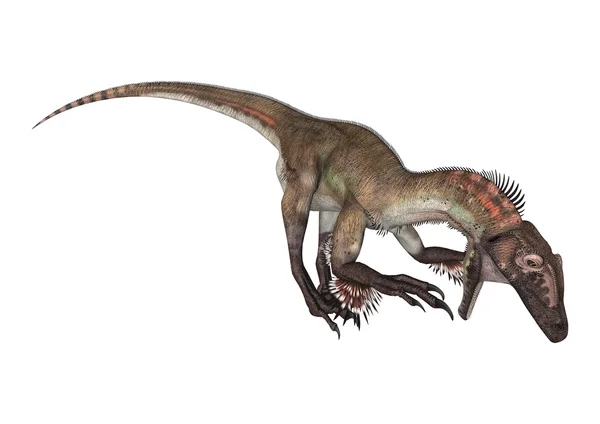 Utahraptor δεινοσαύρων — Φωτογραφία Αρχείου