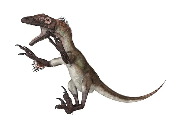 Utahraptor dinozaur — Zdjęcie stockowe