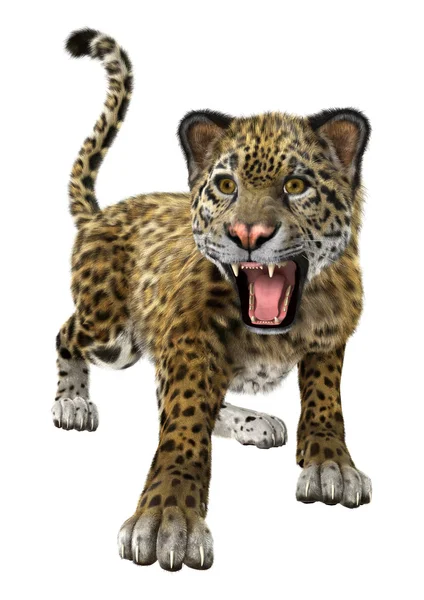 Grote kat Jaguar — Stockfoto