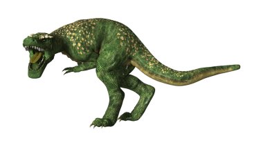 Tyrannosaurus rex