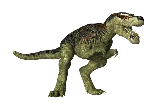 A Tyrannosaurus rex — Stock Fotó