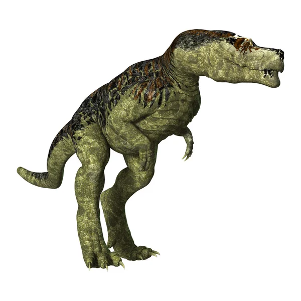 Tyrannosaurus rex — стокове фото