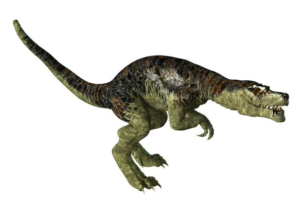 Tyrannosaurus rex — Stok fotoğraf