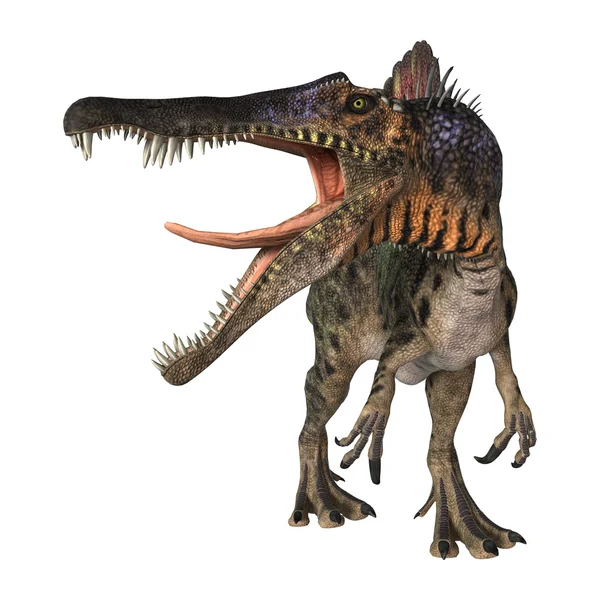 恐竜スピノサウルス — ストック写真