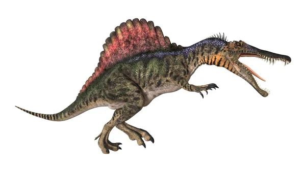 Dinosauro Spinosaurus — Foto Stock