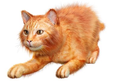 Beyaz arkaplanda izole edilmiş bir kırmızı kedinin 3B görüntülemesi