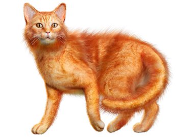 Beyaz arkaplanda izole edilmiş bir kırmızı kedinin 3B görüntülemesi