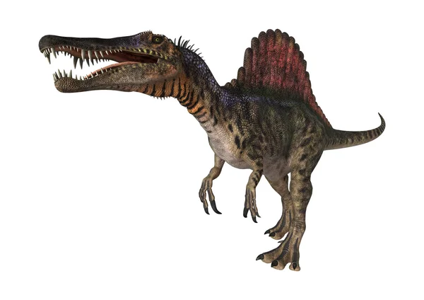 Dinosaurus spinosaurus — Stock fotografie