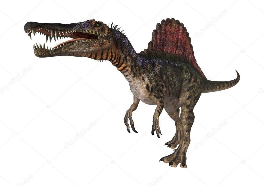 恐竜写真素材 ロイヤリティフリー恐竜画像 Depositphotos