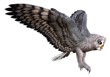 Beyaz arkaplanda izole edilmiş gri baykuşun 3B görüntülemesi