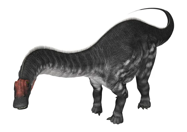 공룡 Apatosaurus — 스톡 사진