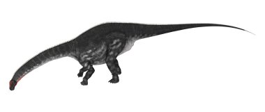 Dinozor Apatosaurus