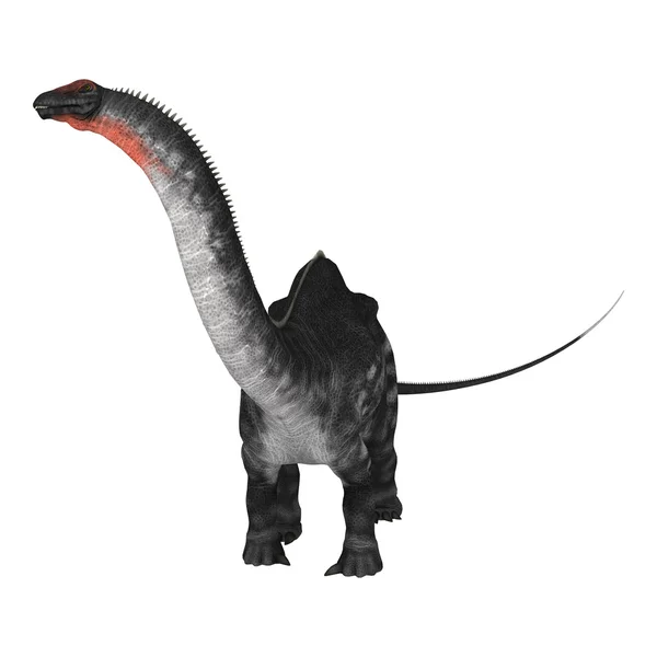 Apatossauro de dinossauro — Fotografia de Stock