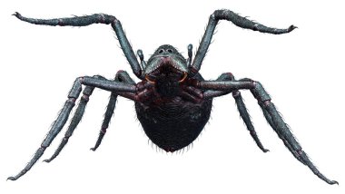 Beyaz arka planda izole edilmiş siyah dev örümceğin 3 boyutlu görüntüsü