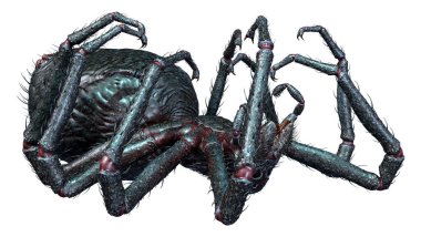 Beyaz arka planda izole edilmiş siyah dev örümceğin 3 boyutlu görüntüsü