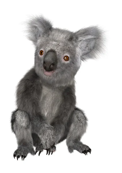 Koala. — Foto de Stock