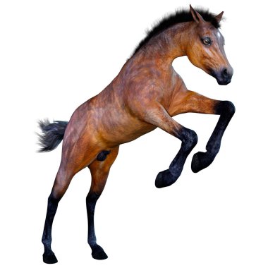 Beyaz arka plan üzerinde izole bir defne at tayı 3D render