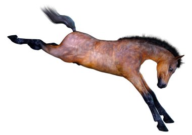 Beyaz arka plan üzerinde izole bir defne at tayı 3D render