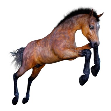 Beyaz arka plan üzerinde izole bir defne at tayı 3D render