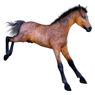 Beyaz arka plan üzerinde izole bir defne at tayı 3D render