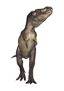 Dinozor Tyrannosaurus esnaf