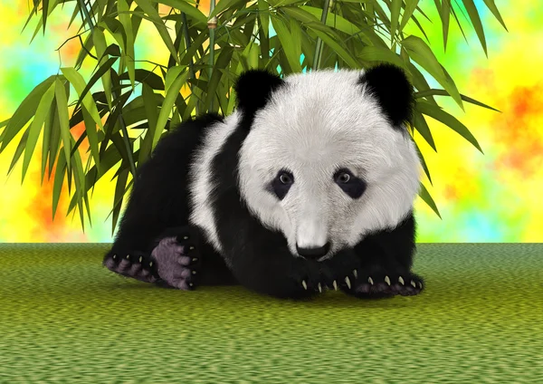 熊猫幼崽 — 图库照片