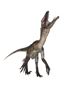 Dinozor Utahraptor illüstrasyon