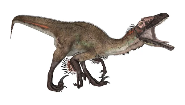 Illustrazione dello Utahraptor del dinosauro — Foto Stock